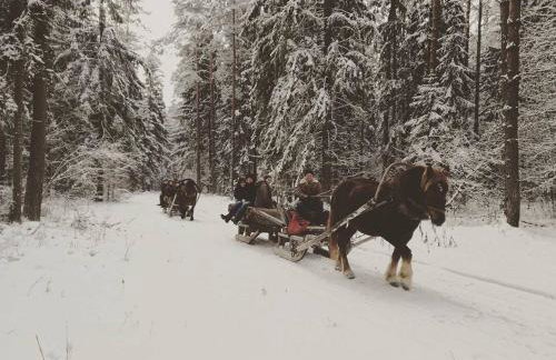 Chata Białowieska Pod Bocianem - Foto 33