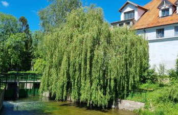 Apartment Zamkowa Park - Foto 43