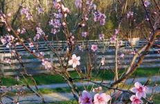 Tranquil Cabin with Hot Tub & Creek Views Near Bass Pro, Kodak Tennessee - Foto 11