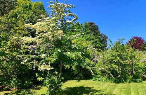 La Tonnelle - Foto 39