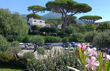 Casa Olivella - Foto 5