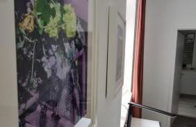 Appartement Lavendel, Ferienwohnung mit eigenem Eingang wie ein kleines Haus - Foto 44