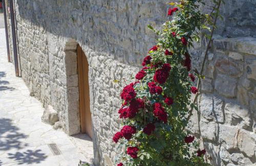 Casa delle Noci - Foto 6