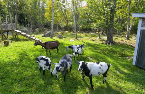 Beachfront Brooklin Studio with Private Balcony! - Photo 23