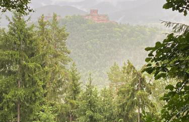 Ferienwohnung Burkhart - Foto 31