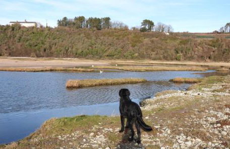 Aubrey Cottage - Photo 26