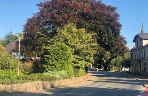 Gästehaus Alte Bücherei - Foto 15