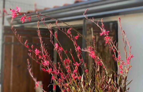 Villa sul mare - Foto 17