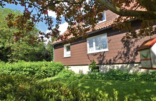 Cozy Apartment in Braunlage near Forest - Foto 21