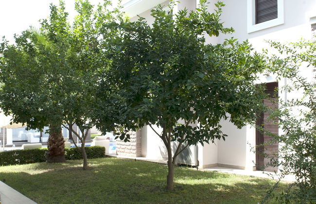 Bamont Villas - Foto 67