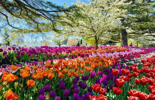 Shiny Rambler House with Spacious Solarium. - Foto 77