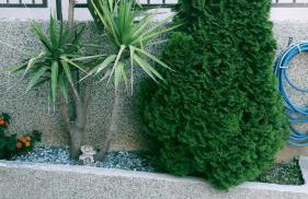 Apartments Villa Toma - Foto 71