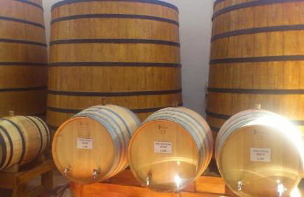 One Bed Apartment overlooking Jalon Valley, Costa Blanca - Foto 13