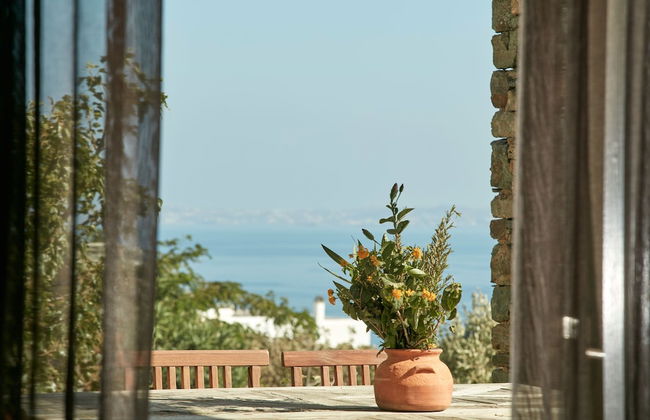 Diles & Rinies - Foto 71