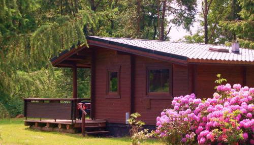 Heidegut Eschede Reitsportanlage und Feriendorf - Foto 3, Garden