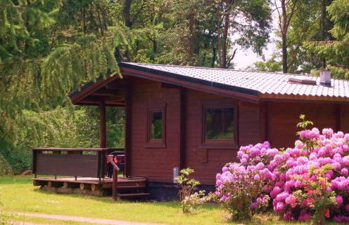 Heidegut Eschede Reitsportanlage und Feriendorf - Foto 3