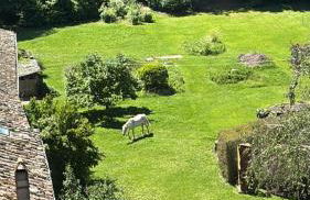 Domus Anfiteatro - Foto 36