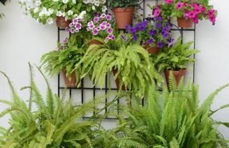 Purísima Vivienda Turística - Foto 36