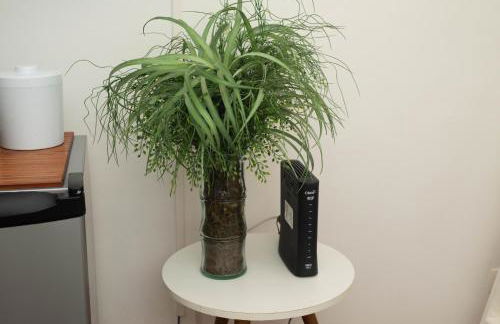 Loft Leblon a 200 metros da melhor praia do Rio - Photo 17