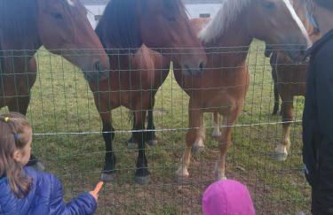 Apartamento La Corrada - Foto 30