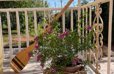 Papiri Beach - Foto 10