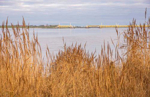 Wiemannshof, 25191 - Foto 8