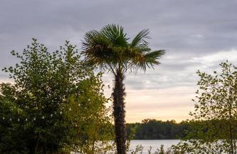 Charmantes Tiny House am See mit Outdoor-Sauna - Foto 12