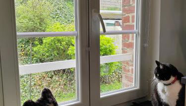 22- Studio Augustine - Vue Mer - Parking gratuit- 4 pattes bienvenues - AULT ONIVAL - Foto 4, pet friendly