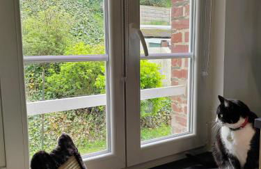 22- Studio Augustine - Vue Mer - Parking gratuit- 4 pattes bienvenues - AULT ONIVAL - Foto 4