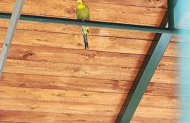 Agriturismo Fieri - Photo 25