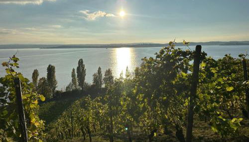 Haus Roswitha Sundermeyer Wohnung A - Foto 2