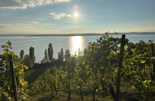Haus Roswitha Sundermeyer Wohnung A - Foto 2