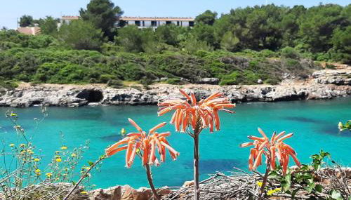 Ático Playa Santandria con Piscina y Wifi - Photo 2