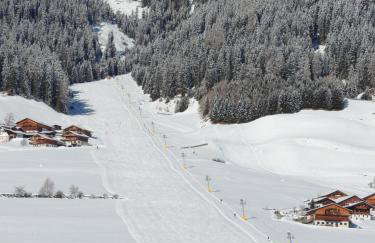 Residence Alpina - Foto 49