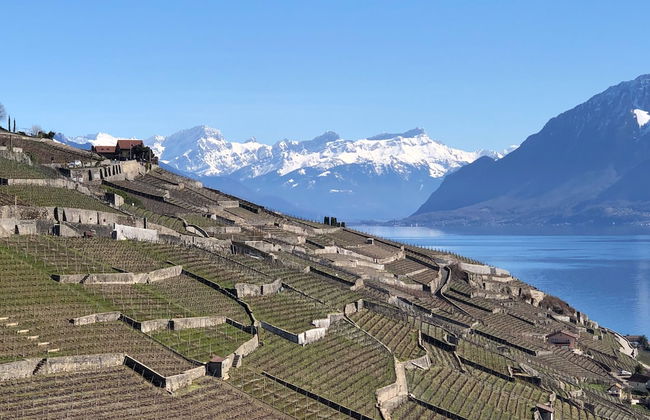 domaine du deven - Foto 63