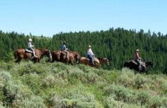 Rustic, Cozy Log Cabin Rental near Idaho Falls - Foto 26
