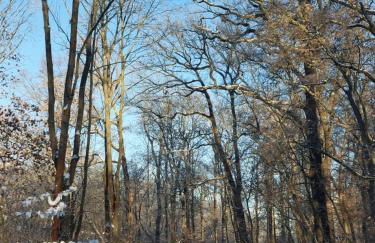 Gemütliche Zwei-Zimmer-Ferienwohnung "W1" in Zwenkau bei Leipzig im Neuseenland - Foto 76