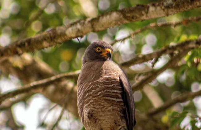 Ecoluxury glamping - Foto 73