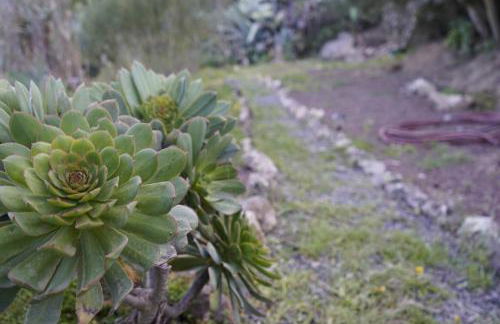 La Cueva de Tito-Casa Cueva en plena naturaleza - Foto 31