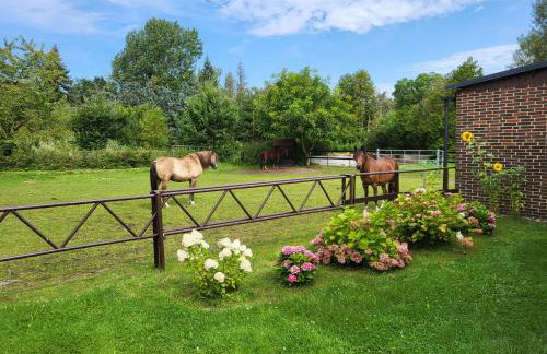 Poggenhagen Urlaub mitten in der Natur - Foto 13