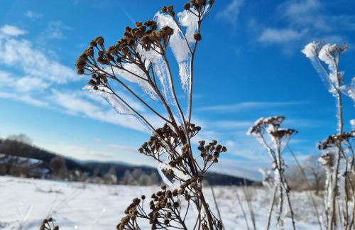 Ferienwohnung Kreuzberg - Foto 58