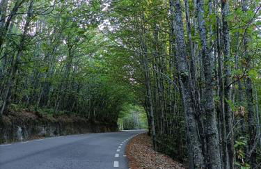 Casa Villamiel - Foto 42