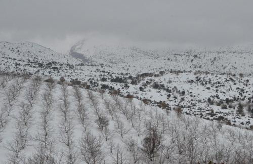 Arodamos Guesthouse - Foto 62