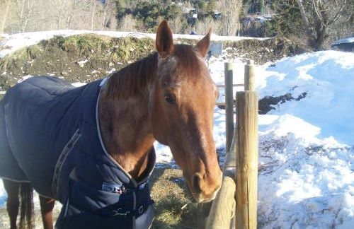 Appartamento Sole - Foto 7