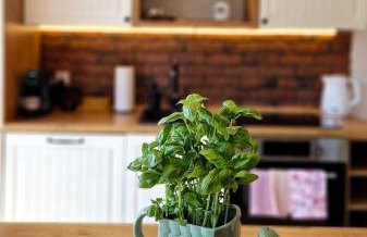 Widokowo - Domki z widokiem na Śnieżkę z Jacuzzi i Sauną - Photo 78