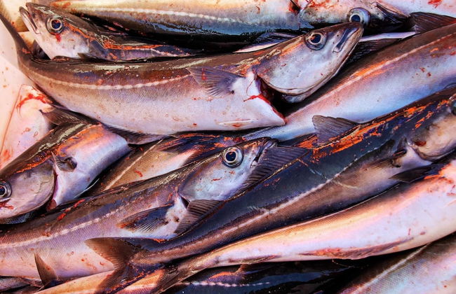 10 Person Holiday Home in Lyngseidet - Foto 29