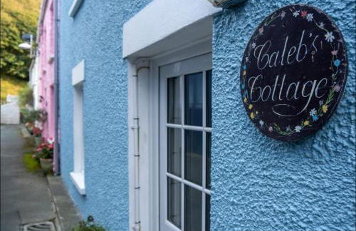 Calebs Cottage- Solva harbour - Photo 20