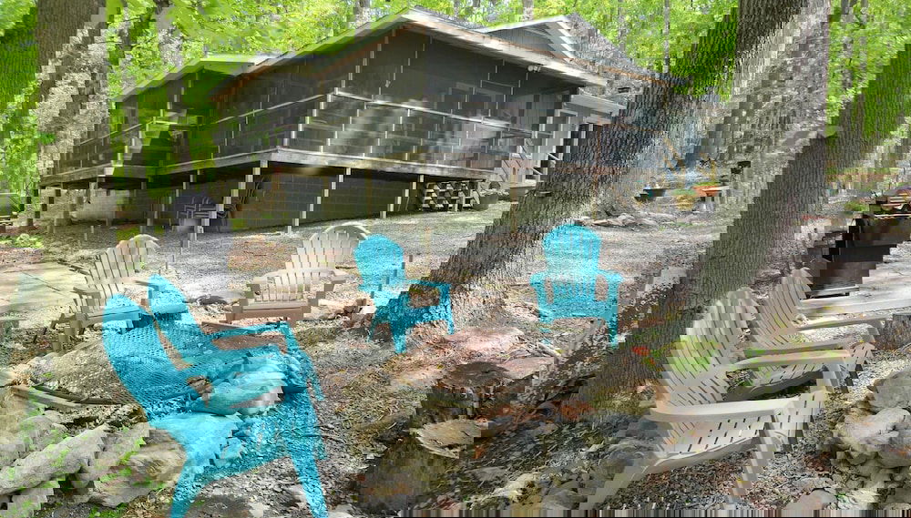 Bear Necessities -forget Your Worries! - Foto 1, Imagen principal