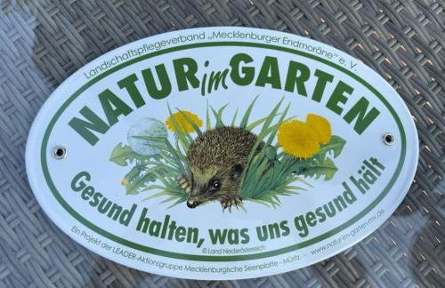 MP 7 Backbord - Foto 20