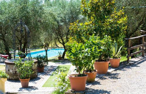 La Collina del Sole - Foto 10